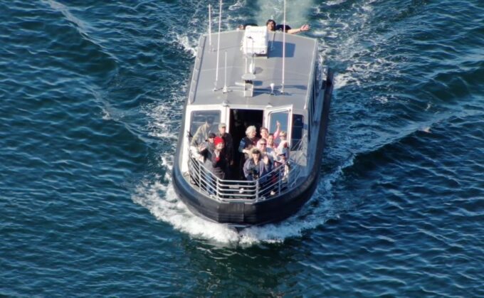 Hoonah: Icy Strait Whale Watch With Drone Filmography - Small Group Adventure and Knowledgeable Crew