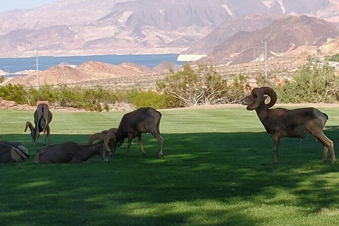 Hoover Dam and Seven Magic Mountains Day Tour by Limo Bus - Visiting Hoover Dam