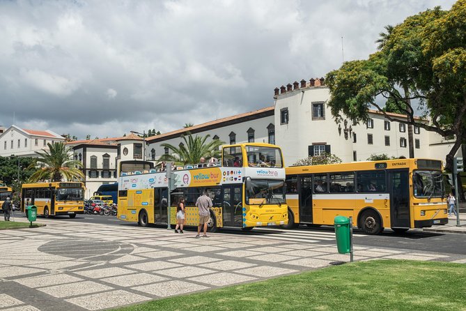 Hop-on Hop-off Bus Tour and Catamaran Whale & Dolphin Watching - Inclusions and Discounts