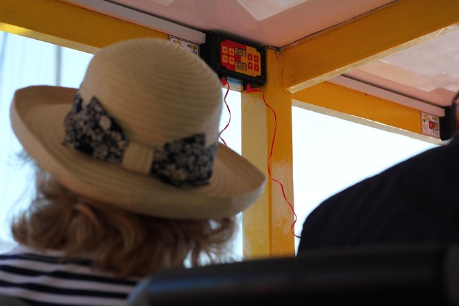 Hop-On Hop-Off Cape Town Canal Cruise - Meeting Point and Time