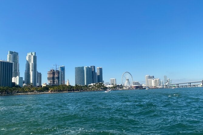 Hop-On Hop-Off Cruise Ticket in Bayside and South Beach in Miami - Experience Prices