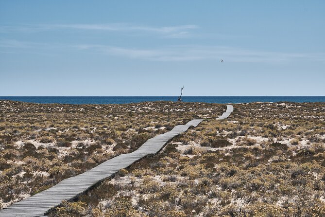 Hop On Hop Off Islands - Deserta Island Discoveries