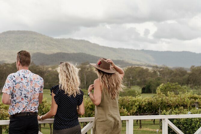 Hop on Hop off Wine tasting tour to Tamborine Mountain - An in-depth look at the experience