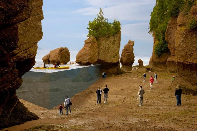 Hopewell Rocks Admission - Admission Details