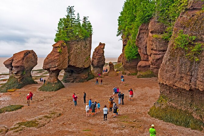Hopewell Rocks Express Tour From Moncton - Included Amenities