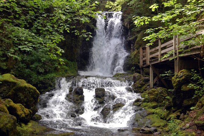 Hopewell Rocks Express Tour From Moncton - Tour Schedule