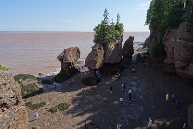 Hopewell Rocks Express Tour From Moncton - Nearby Attractions