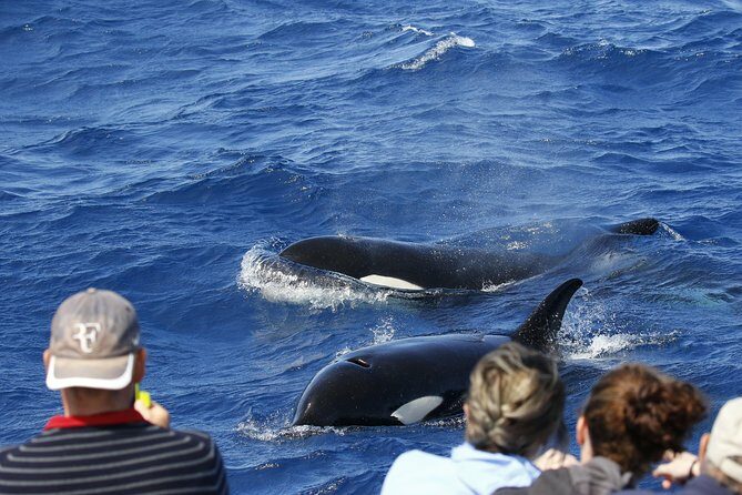 Horizontal Falls & Dampier Peninsula Discovery Tour - Transportation, Duration, and Group Size