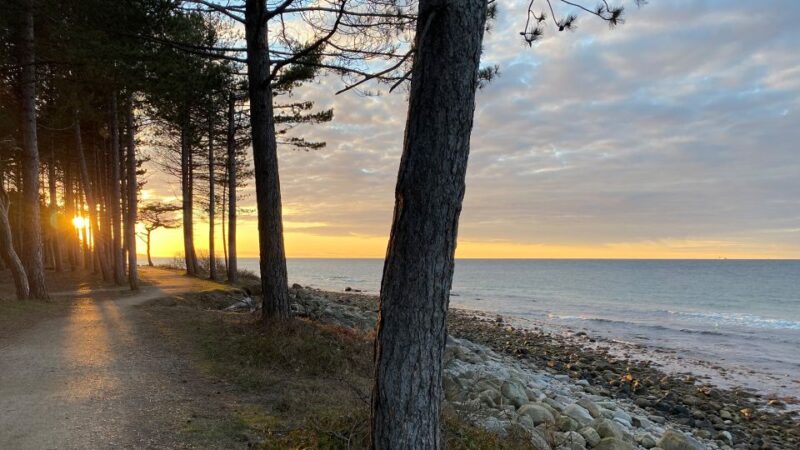 Hornbæk: Kayak Rental With Delivery to Agreed Location - Booking Information