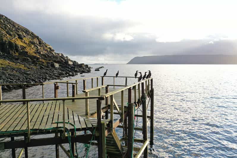 Hornvika: Historical Gateway Royal Hike to North Cape - Experience Highlights