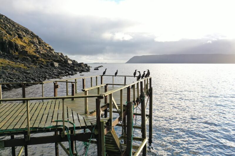 Hornvika: Historical Gateway Royal Hike to North Cape - North Cape Adventure