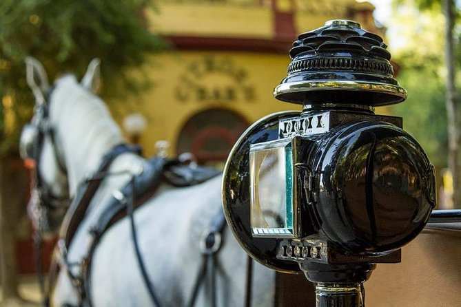Horse and Buggy Ride in Seville With Guide - Meeting and Pickup
