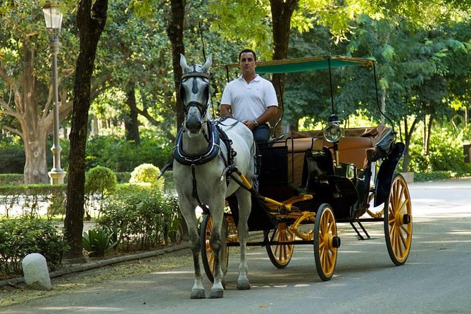 Horse and Buggy Ride in Seville With Guide - Highlights and Landmarks