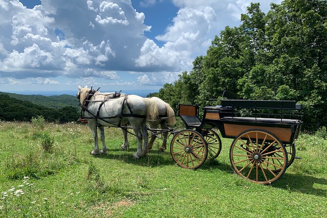 Horse and Carriage Ride Through Moses H. Cone Park - Cancellation and Weather Policy