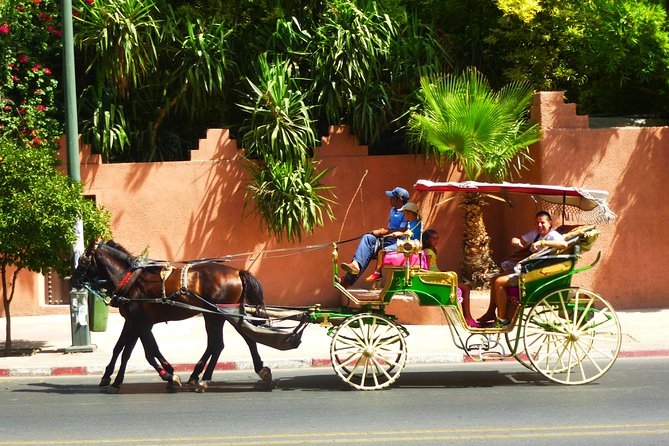 Horse and Carriage Ride With Majorelle Garden - Carriage Ride Along Marrakech
