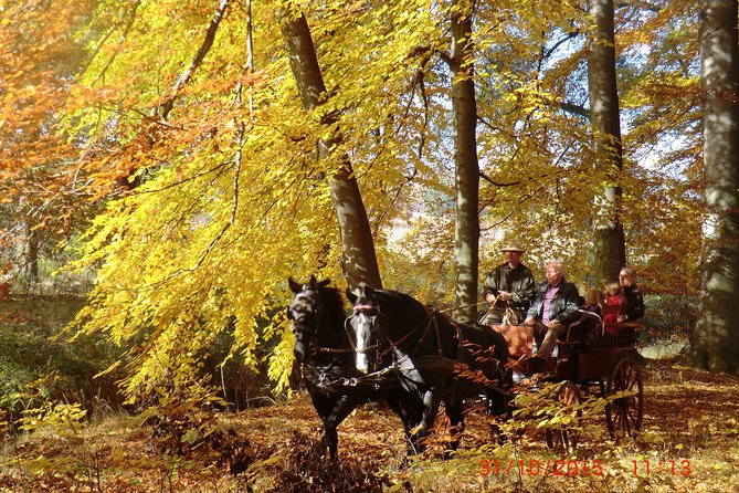 Horse and Carriage Tours With Polish Traditional Food Experience - Key Points