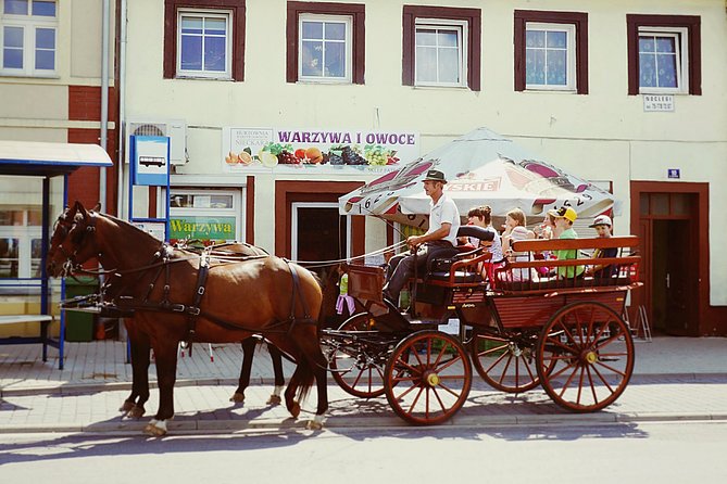Horse and Carriage Tours With Polish Traditional Food Experience - Accessibility and Additional Info