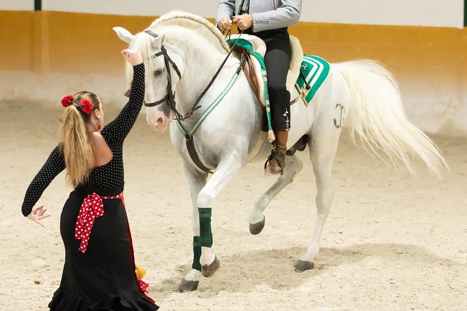 Horse and Flamenco Show in Malaga - What to Expect