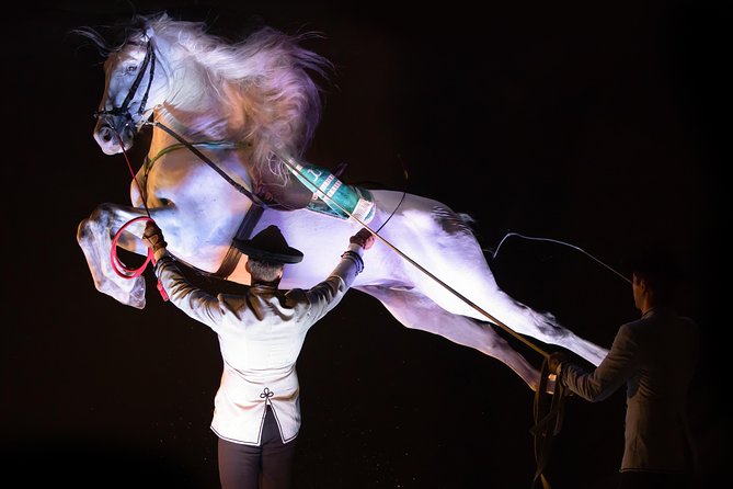 Horse and Flamenco Show in Malaga - Health and Safety Considerations