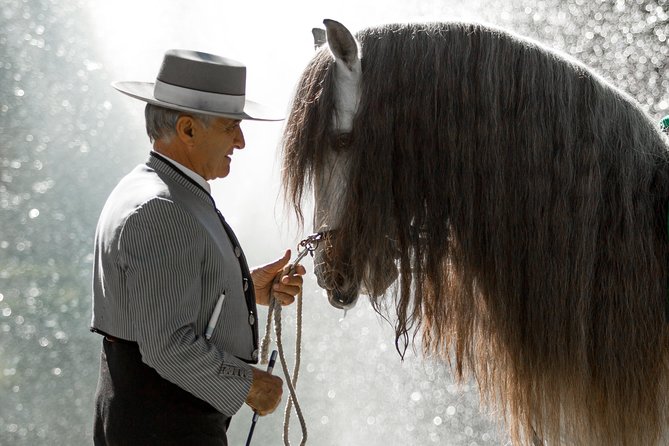 Horse and Flamenco Show in Malaga - Cost and Cancellation Policy