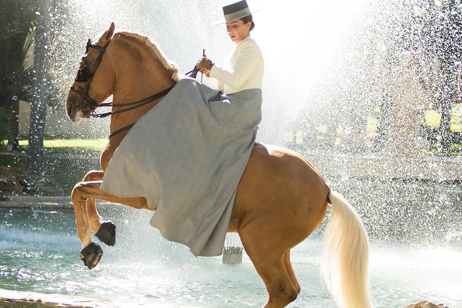 Horse and Flamenco Show in Malaga - Customer Reviews and Ratings
