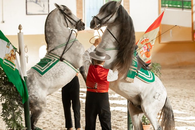 Horse and Flamenco Show in Malaga With Dinner - Included Amenities