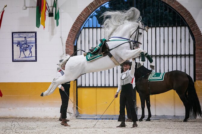 Horse and Flamenco Show in Malaga With Dinner - Allergies and Dietary Restrictions