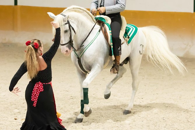 Horse and Flamenco Show in Malaga With Dinner - Accessibility Information