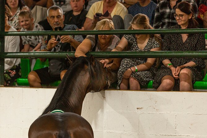 Horse and Flamenco Show in Malaga With Dinner - Review Authentication Process
