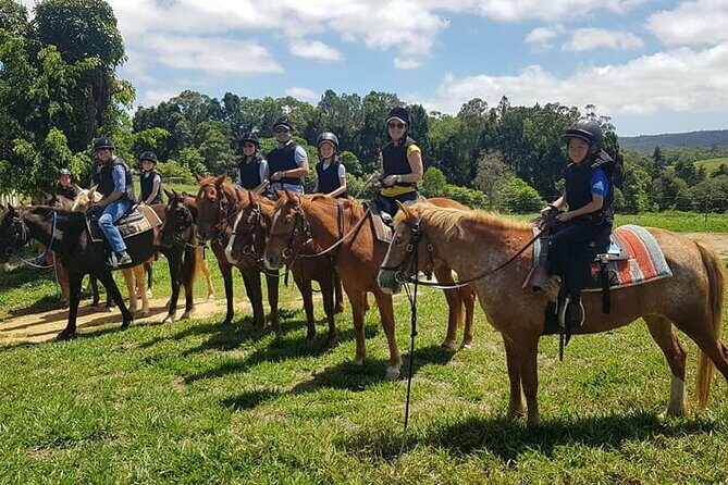 Horse and Quad bike tour with a visit to a Petting Zoo - An Introduction to an Authentic Farm Experience
