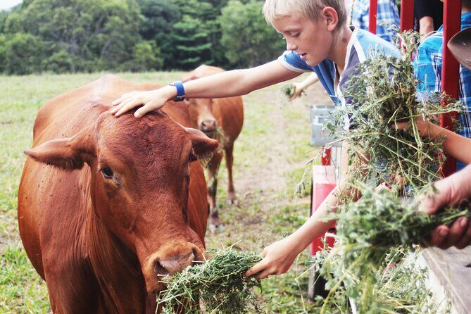 Horse and Quad bike tour with a visit to a Petting Zoo - The Value of the Tour