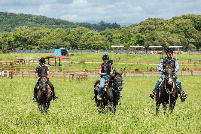 Horse and Quad bike tour with a visit to a Petting Zoo - Practical Tips for Travelers