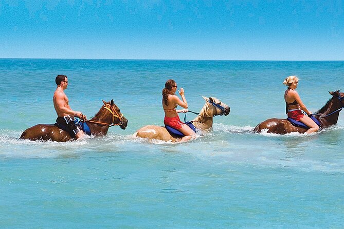 Horse Back Riding and Blue Hole Ocho Rios Private Tour - Schedule and Availability