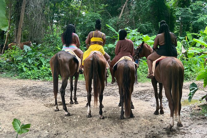 Horse Back Riding and White River Rafting From Montego Bay - About Your Stay