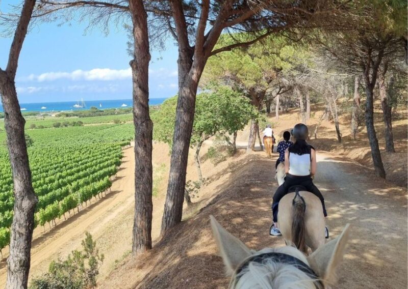 Horse Back Riding and Wine Tasting in Ramatuelle - Key Points