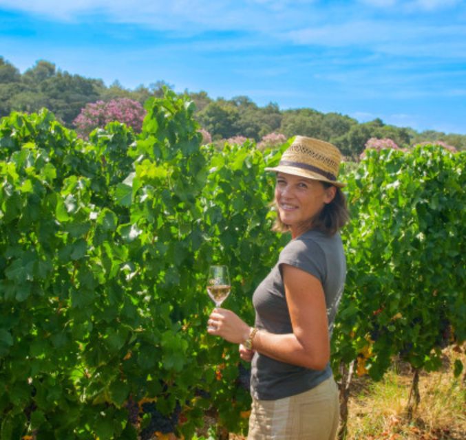 Horse Back Riding and Wine Tasting in Ramatuelle - Details of the Activity