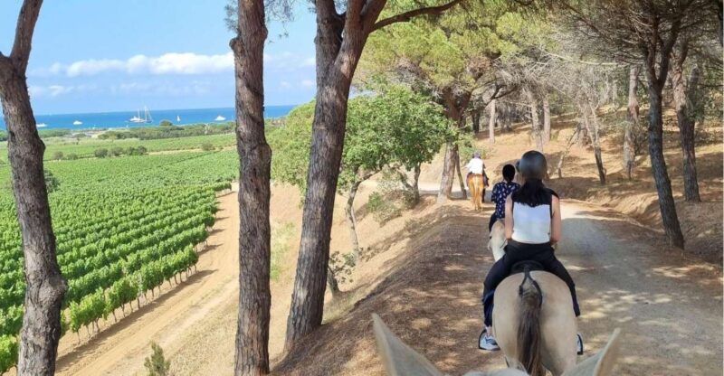 Horse Back Riding and Wine Tasting in Ramatuelle - Starting Location and Itinerary