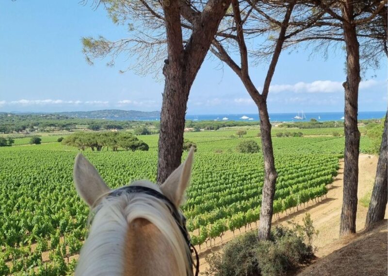 Horse Back Riding and Wine Tasting in Ramatuelle - Inclusions and Exclusions