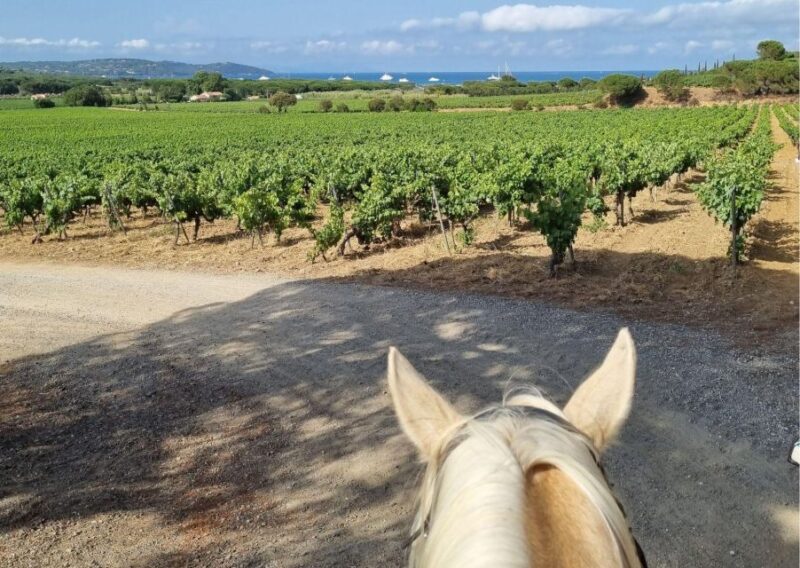 Horse Back Riding and Wine Tasting in Ramatuelle - Booking and Reservation Information
