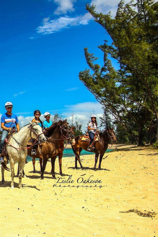 HORSE BACK RIDING PUERTO PLATA Taino Bay and Amber Cove - Exploring Puerto Plata