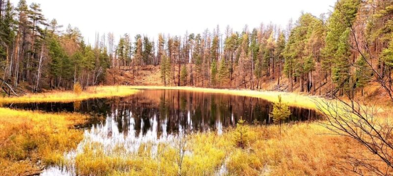 Horse Back Riding Tour to Khagiin Khar Lake - Itinerary Highlights