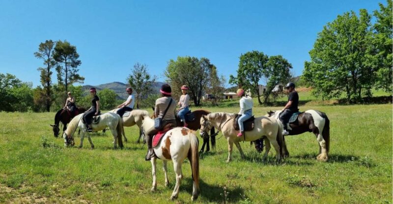 Horse Back Riding + Wine Tasting in the Maures Forest - Tortoise Sightings
