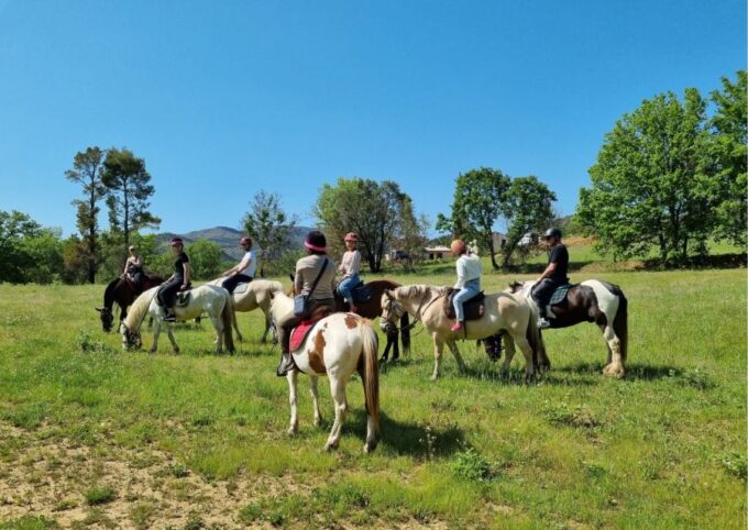 Horse Back Riding + Wine Tasting in the Maures Forest - Frequently Asked Questions