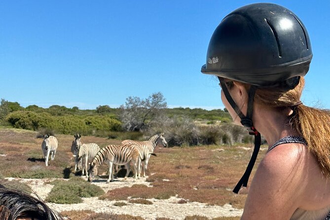 Horse Back Safari on the West Coast - Accessibility and Recommendations