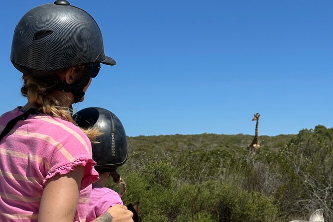 Horse Back Safari on the West Coast - Booking Information and Policies