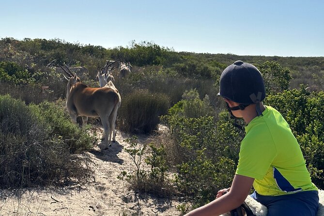 Horse Back Safari on the West Coast - Highlights of the Experience