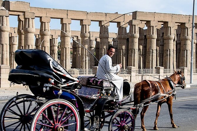 Horse Carriage City Tour in Luxor City With Meal and Soft Drink - Key Points