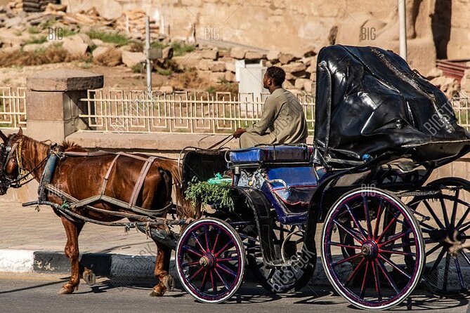 Horse Carriage City Tour in Luxor City With Meal and Soft Drink - Meeting and Pickup