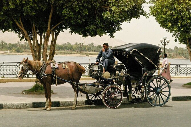 Horse Carriage City Tour in Luxor City With Meal and Soft Drink - Accessibility and Participation