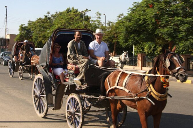 Horse Carriage City Tour in Luxor City With Meal and Soft Drink - Cancellation and Reviews